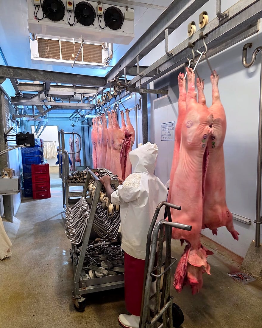 A pull-down chiller at the abattoir, held at 0 °C, with carcasses on the rail