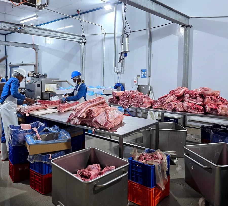 Pork Carcasses & Boxed Meat