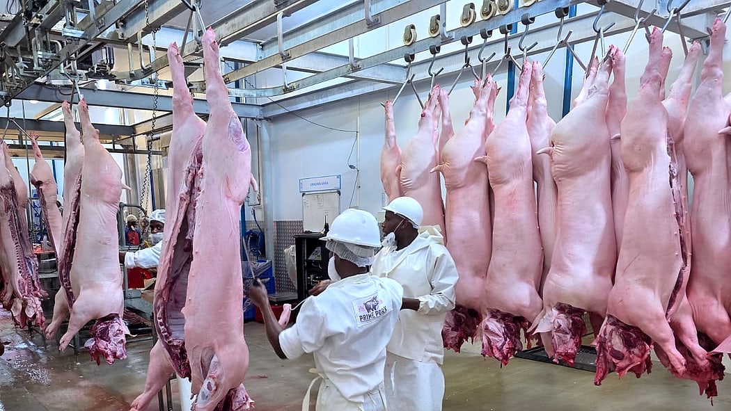Contract Slaughtering